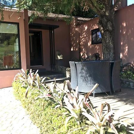 Villa Family Secrets Douro Ribadouro Exterior foto