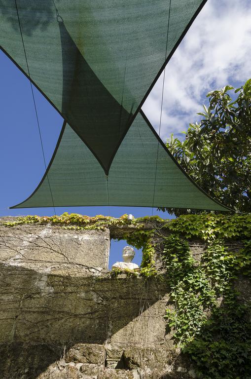 Villa Family Secrets Douro Ribadouro Exterior foto